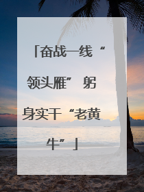 奋战一线“领头雁” 躬身实干“老黄牛”