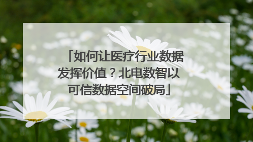 如何让医疗行业数据发挥价值？北电数智以可信数据空间破局