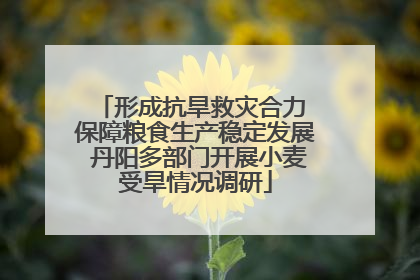 形成抗旱救灾合力 保障粮食生产稳定发展 丹阳多部门开展小麦受旱情况调研