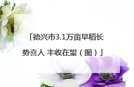 德兴市3.1万亩早稻长势喜人 丰收在望（图）