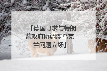 德国寻求与特朗普政府协调涉乌克兰问题立场