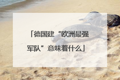 德国建“欧洲最强军队”意味着什么
