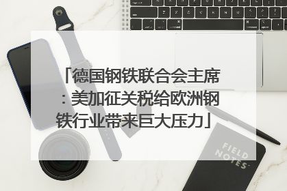 德国钢铁联合会主席：美加征关税给欧洲钢铁行业带来巨大压力