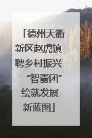 德州天衢新区赵虎镇聘乡村振兴“智囊团” 绘就发展新蓝图