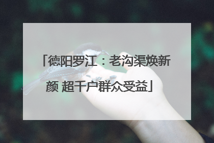 德阳罗江：老沟渠焕新颜 超千户群众受益