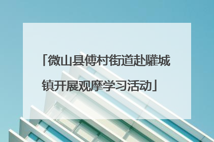 微山县傅村街道赴驩城镇开展观摩学习活动