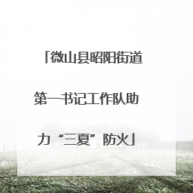 微山县昭阳街道第一书记工作队助力“三夏”防火