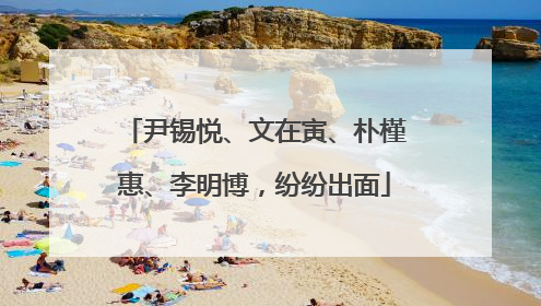 尹锡悦、文在寅、朴槿惠、李明博，纷纷出面