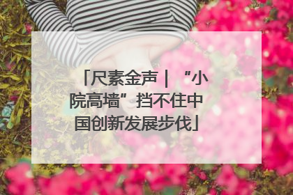 尺素金声｜“小院高墙”挡不住中国创新发展步伐