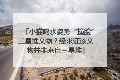 小猫喝水姿势“撞脸”三星堆文物？经求证该文物并非来自三星堆