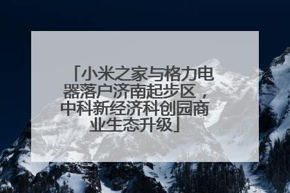 小米之家与格力电器落户济南起步区，中科新经济科创园商业生态升级