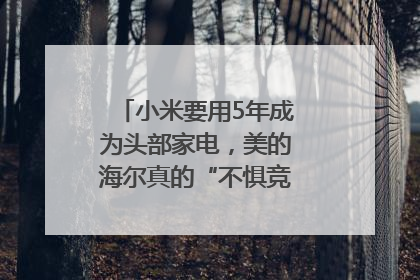 小米要用5年成为头部家电，美的海尔真的“不惧竞争”？｜热财经
