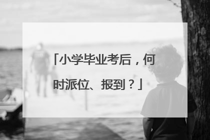 小学毕业考后，何时派位、报到？
