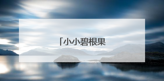 小小碧根果撬动大产业