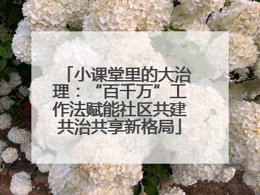 小课堂里的大治理：“百千万”工作法赋能社区共建共治共享新格局