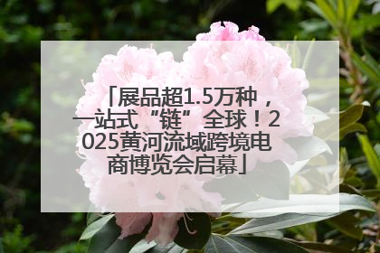 展品超1.5万种，一站式“链”全球！2025黄河流域跨境电商博览会启幕