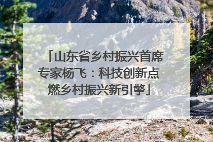 山东省乡村振兴首席专家杨飞：科技创新点燃乡村振兴新引擎