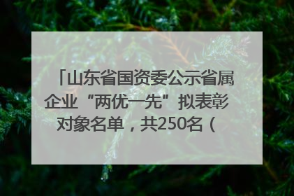 山东省国资委公示省属企业“两优一先”拟表彰对象名单，共250名（个）党员和党组织