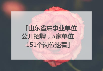 山东省属事业单位公开招聘，5家单位151个岗位速看