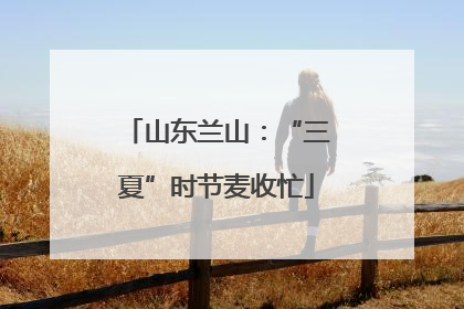 山东兰山：“三夏”时节麦收忙