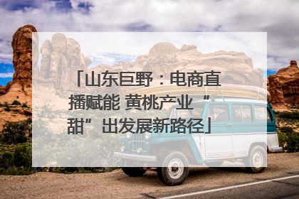 山东巨野：电商直播赋能 黄桃产业“甜”出发展新路径