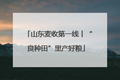 山东麦收第一线丨“良种田”里产好粮