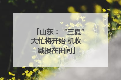 山东：“三夏”大忙将开始 机收减损在田间