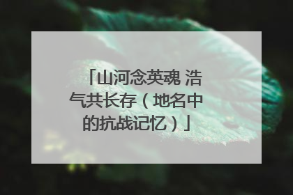 山河念英魂 浩气共长存（地名中的抗战记忆）