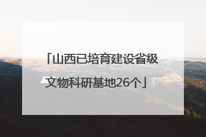 山西已培育建设省级文物科研基地26个