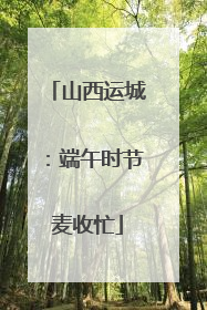 山西运城：端午时节麦收忙