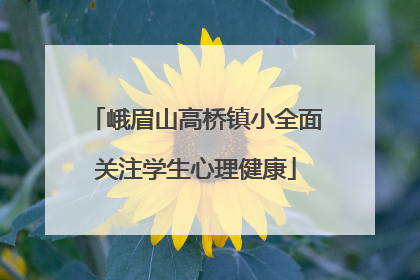 峨眉山高桥镇小全面关注学生心理健康
