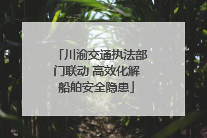 川渝交通执法部门联动 高效化解船舶安全隐患