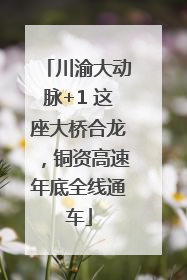 川渝大动脉+1 这座大桥合龙，铜资高速年底全线通车