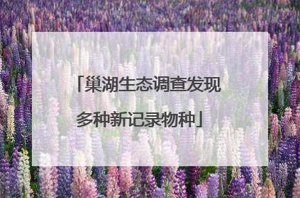 巢湖生态调查发现多种新记录物种