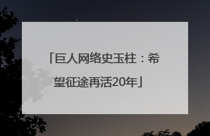 巨人网络史玉柱：希望征途再活20年