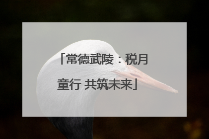 常德武陵：税月童行 共筑未来