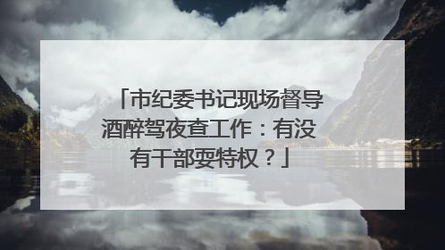市纪委书记现场督导酒醉驾夜查工作：有没有干部耍特权？