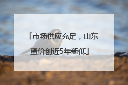 市场供应充足，山东蛋价创近5年新低