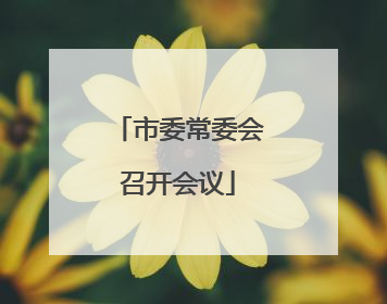 市委常委会召开会议