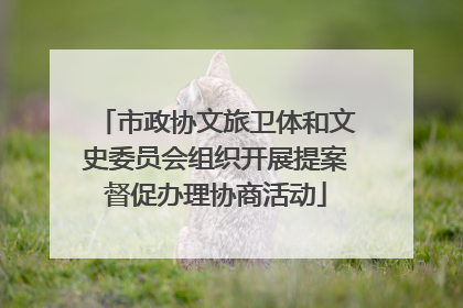 市政协文旅卫体和文史委员会组织开展提案督促办理协商活动