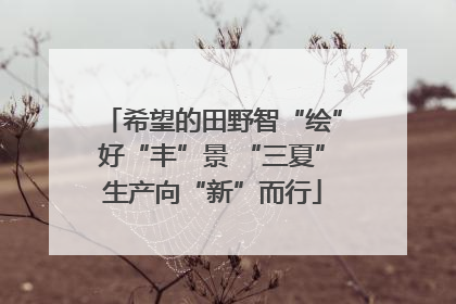 希望的田野智“绘”好“丰”景 “三夏”生产向“新”而行