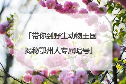 带你到野生动物王国揭秘鄂州人专属暗号