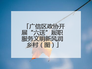 广信区政协开展“六送”履职服务文明新风润乡村（图）