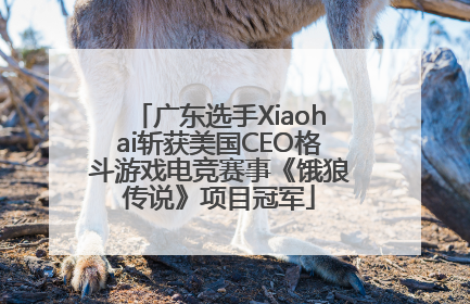 广东选手Xiaohai斩获美国CEO格斗游戏电竞赛事《饿狼传说》项目冠军