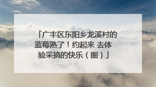 广丰区东阳乡龙溪村的蓝莓熟了！约起来 去体验采摘的快乐（图）