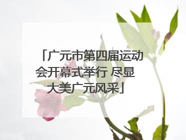 广元市第四届运动会开幕式举行 尽显大美广元风采