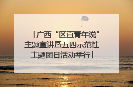 广西“区直青年说”主题宣讲暨五四示范性主题团日活动举行