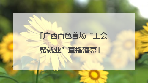广西百色首场“工会帮就业”直播落幕