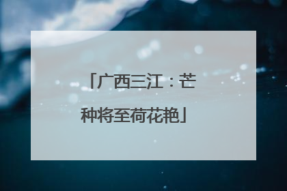 广西三江：芒种将至荷花艳