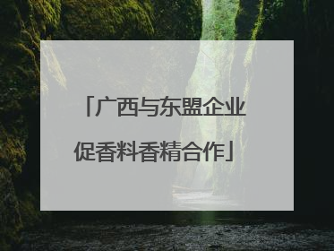 广西与东盟企业促香料香精合作